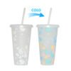 Color changing plastic cup